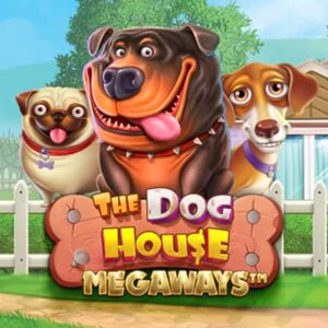 The Dog House Megaways review and play tips
